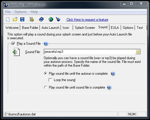Screenshot 622 of AutoRun Wizard interface and features